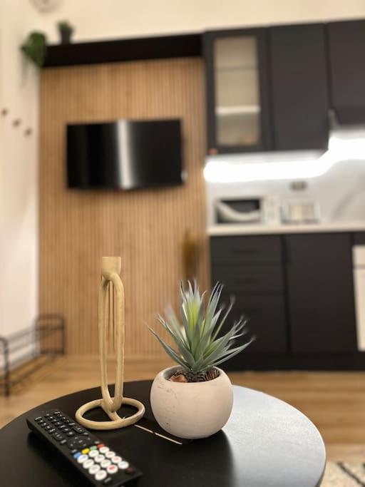 La Casa Di Marlu - Gorgeous Flat In Catania Centre Apartment Ngoại thất bức ảnh